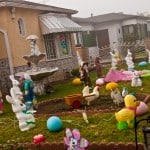 Bunnies Await Spring Break