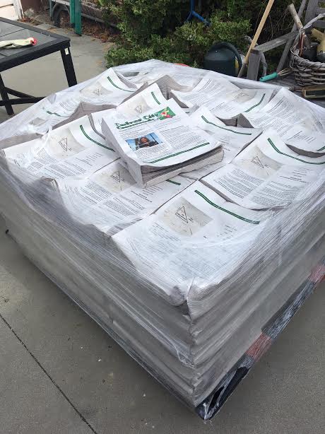 Culver city essay 08 image