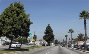 Trees must fall to make way for space shuttle's L.A. road trip