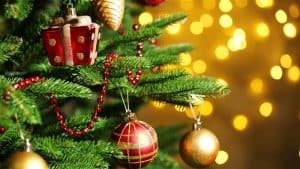 christmas-tree-today-tease-1-151201_dd6ec0167e769c87de32fd740c83f70a-today-inline-large