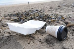 polystyrene-rubbish-is-a-menace-on-our-beaches