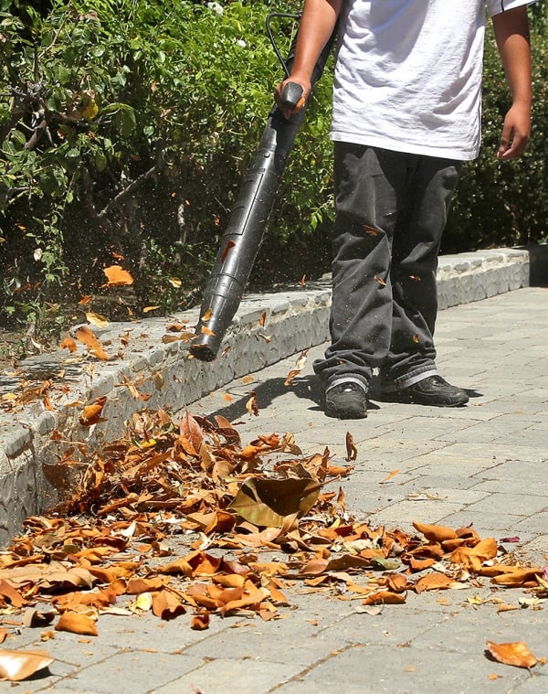 City Drops Allowable Decibels, Restricts Hours for Leaf Blowers