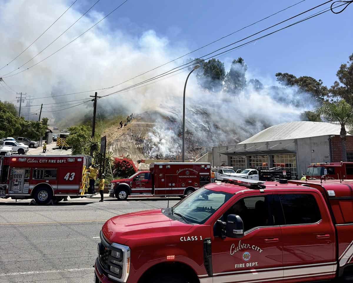 Grass Fire Off Jefferson – Quick Response from CCFD Keeps Damage ...