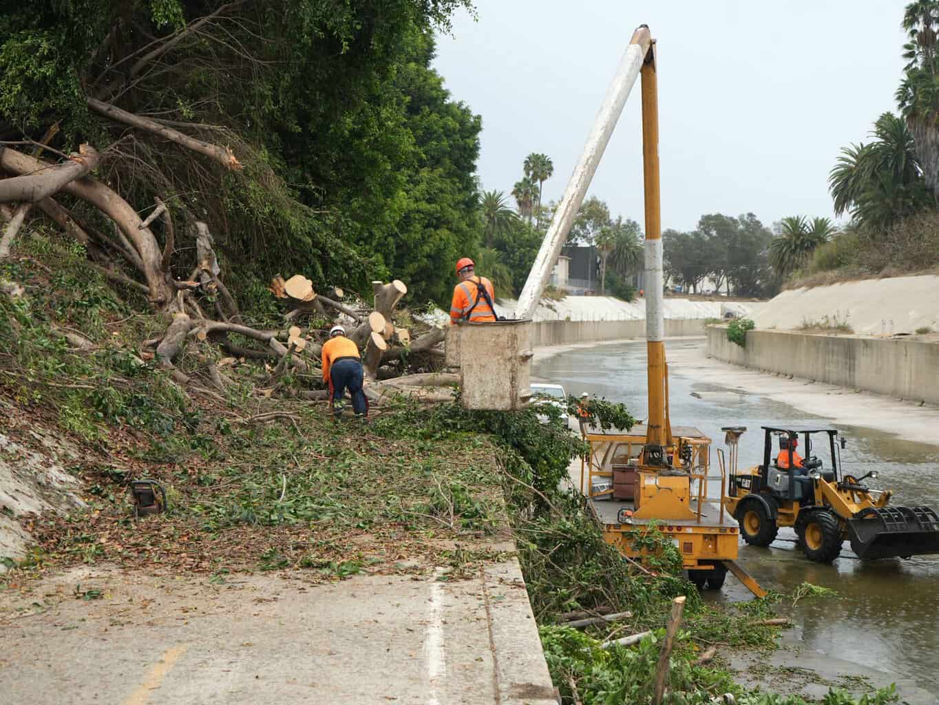 Bike Path Railing Bike Path Blocked – Fallen Tree Takes Down Railing – Culver City Crossroads